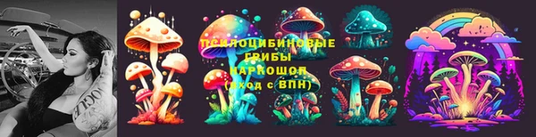 дмт Лиски