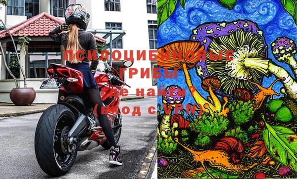 дмт Лиски