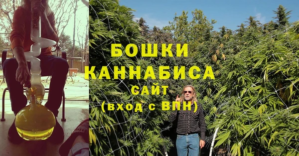 дмт Лиски