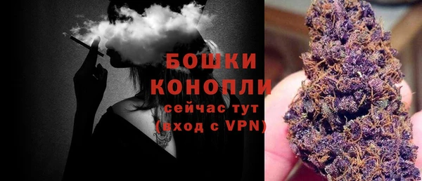 твердый Лагань